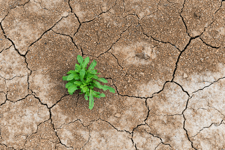 WorkplaceResilence workplace resilience