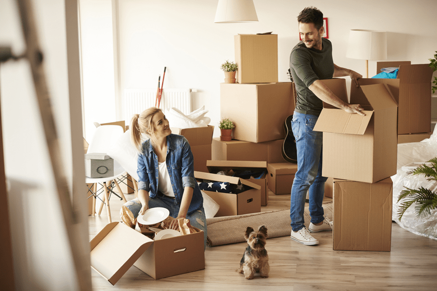 relocation relocation