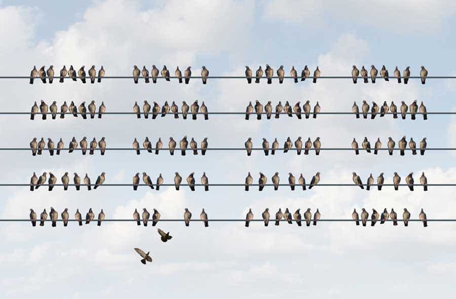 SocialAlignment Social Alignment