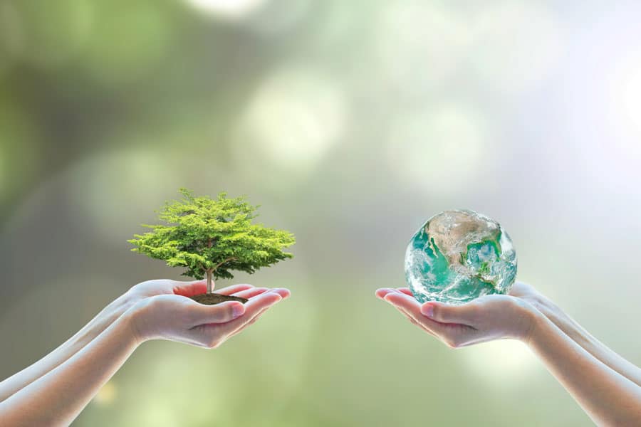 envirobus environmentally sustainable business approach